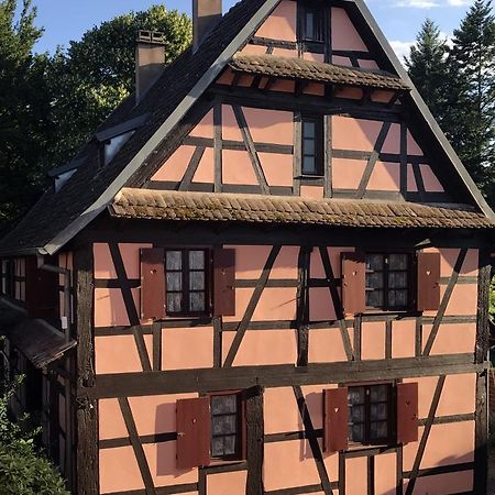 Maison Alsacienne Eschau エクステリア 写真