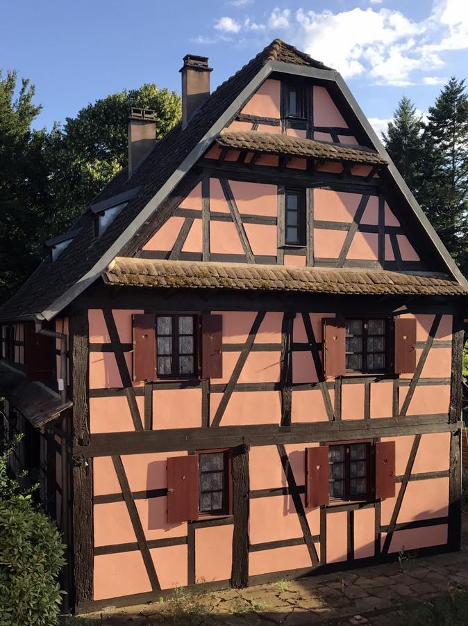 Maison Alsacienne Eschau エクステリア 写真